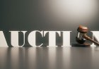 Auction Related GOs & Circulars