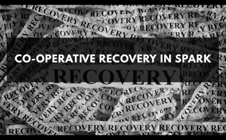 CO-OPERATIVE RECOVERY IN SPARK