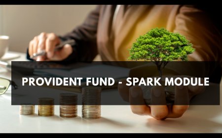 PROVIDENT FUND - SPARK MODULE