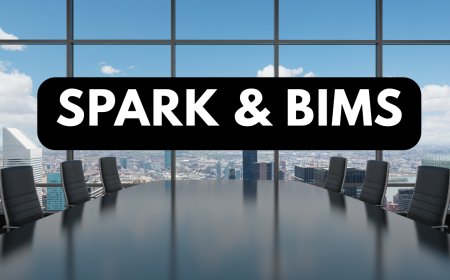 A COMPLETE BOOK ON SPARK & BiMS