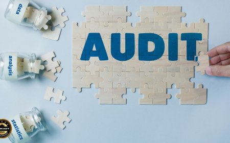 Audit Related GOs & Circulars