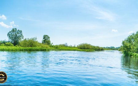 River Related GOs & Circulars