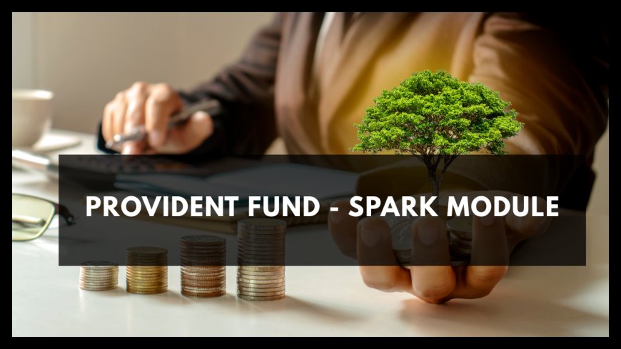 PROVIDENT FUND - SPARK MODULE