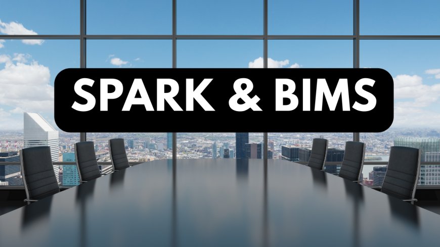 A COMPLETE BOOK ON SPARK & BiMS